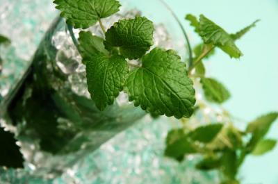 20080601002540-mojito.jpg