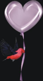 birdballoon.jpg